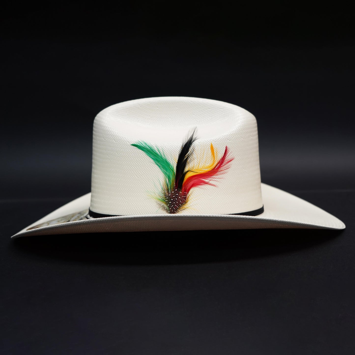 Stone Johnson Palma 300x Copa Alta Falda 3.5" Sombrero