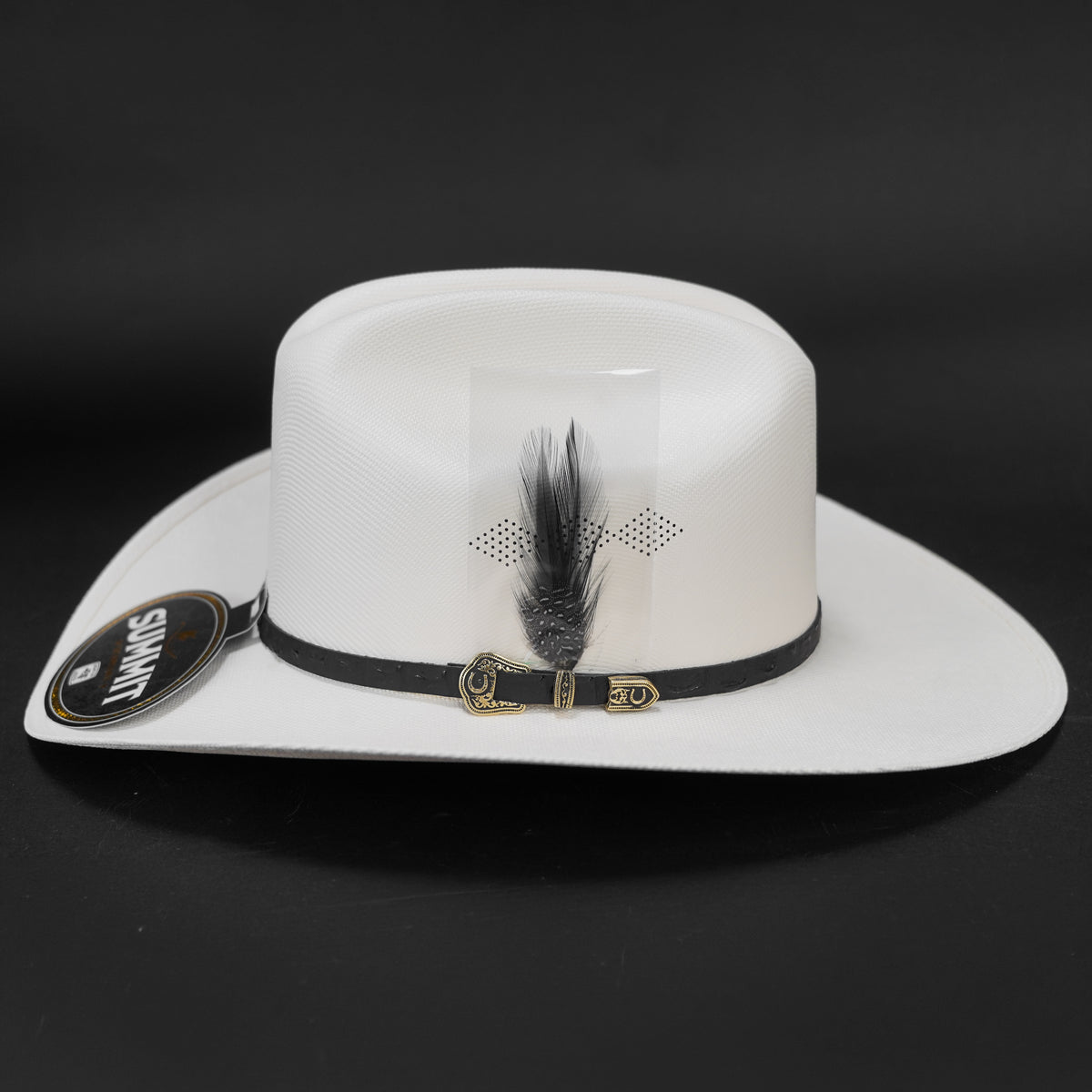Summit Chaparral 1000x Pluma Negra