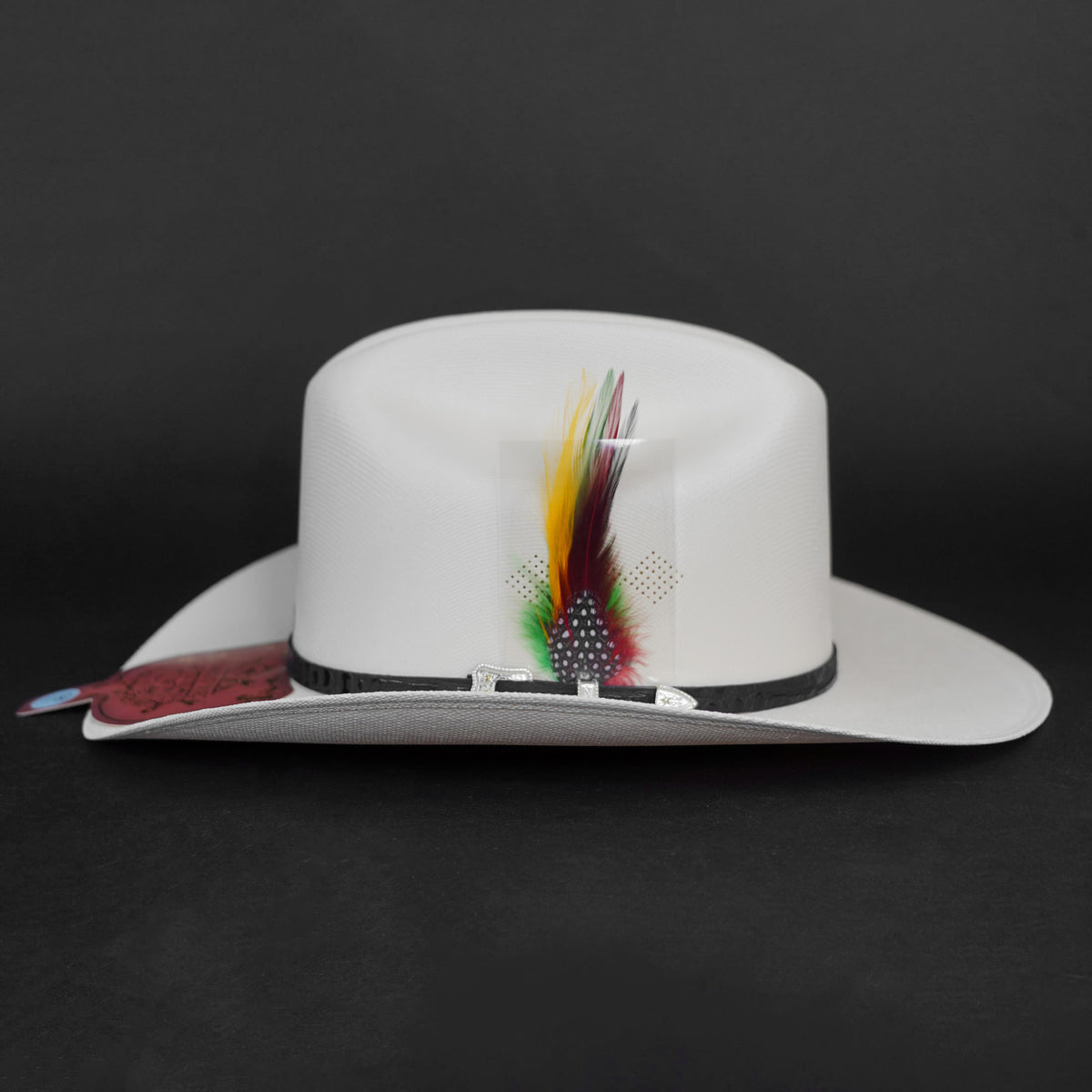 Tombstone Chaparral 1000x 3"